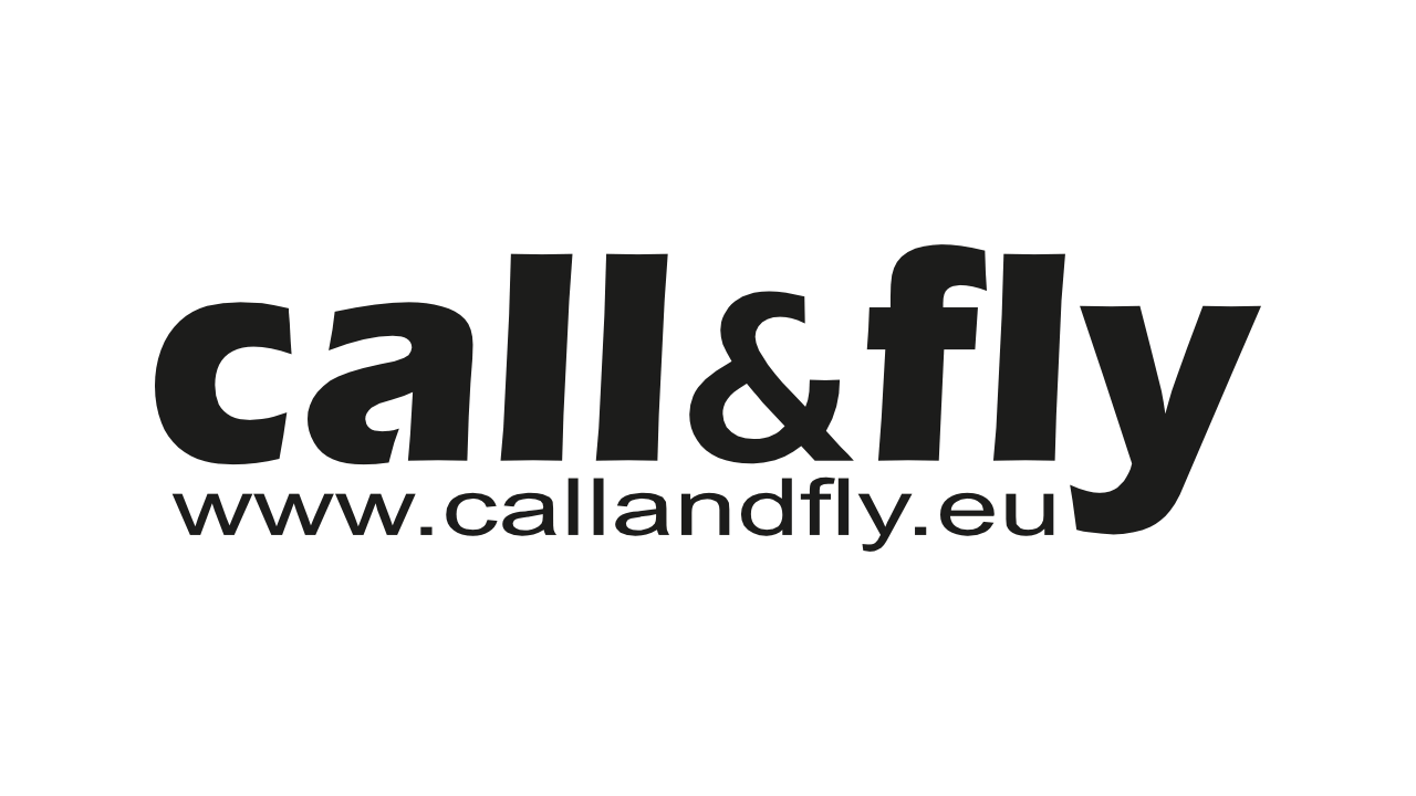 Call&Fly logo
